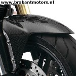 Speed Triple_ Carbon Front Mudguard